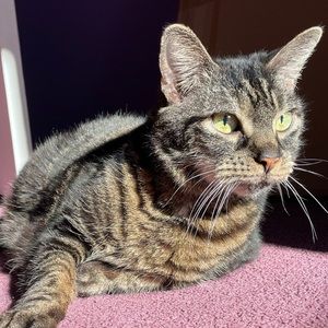 Meet your Posher, Amanda